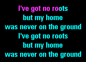 I've got no roots
but my home
was never on the ground
I've got no roots
but my home
was never on the ground