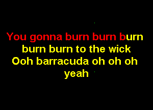 You gonna burn burn burn
burn burn to the wick

Ooh barracuda oh oh oh
yeah