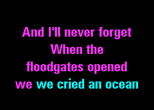And I'll never forget
When the

floodgates opened
we we cried an ocean