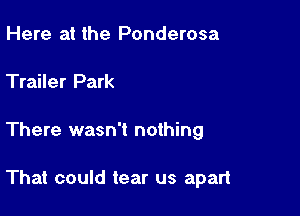 Here at the Ponderosa

Trailer Park

There wasn't nothing

That could tear us apart