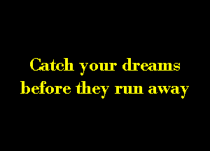 Catch your dreams

before they run away