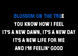 BLOSSOM ON THE TREE
YOU KNOW HOWI FEEL
IT'S A NEW DAWN, IT'S A NEW DAY
IT'S A NEW LIFE FOR ME
AND I'M FEELIH' GOOD