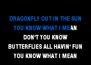 DRAGONFLY OUT IN THE SUN
YOU KNOW WHATI MEAN
DON'T YOU KNOW
BUTTERFLIES ALL HAVIH' FUH
YOU KNOW WHATI MEAN