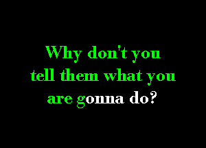 Why don't you

tell them What you
are gonna do?