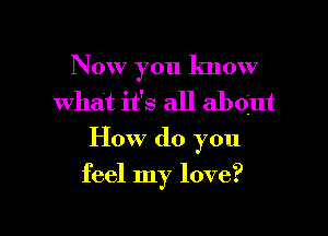 Now you know

what it's all about

How do you

feel my love?