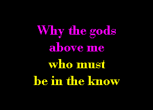 Why the gods

above me

who must
be in the know