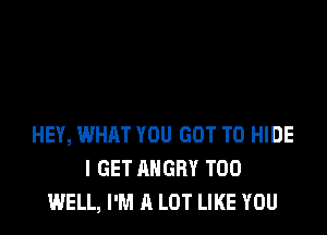 HEY, WHAT YOU GOT TO HIDE
I GET ANGRY T00
WELL, I'M A LOT LIKE YOU