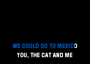 WE COULD GO TO MEXICO
YOU, THE CAT AND ME