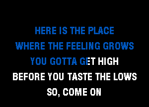 HERE IS THE PLACE
WHERE THE FEELING GROWS
YOU GOTTA GET HIGH
BEFORE YOU TASTE THE LOWS
SO, COME ON