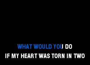WHAT WOULD YOU DO
IF MY HEART WAS TURN IN TWO