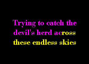 Trying to catch the
devil's herd across

these endless skies