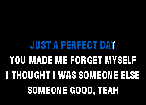 JUST A PERFECT DAY
YOU MADE ME FORGET MYSELF
I THOUGHT I WAS SOMEONE ELSE
SOMEONE GOOD, YEAH