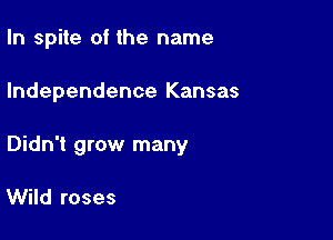 In spite of the name

Independence Kansas

Didn't grow many

Wild roses