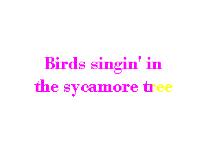 Birds singin' in

the sycamore tree