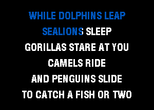 WHILE DOLPHINS LEAP
SEALIONS SLEEP
GORILLAS SHIRE AT YOU
CAMELS RIDE
AND PENGUIHS SLIDE
T0 CATCH A FISH OR TWO