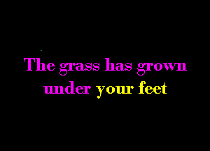 The grass has grown

under your feet