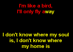 I'm like a bird,
I'll only fly away

I don't know where my soul
is, I don't know where
my home is