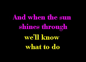 And when the sun
shines through

we'll know
what to do