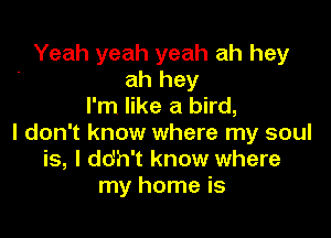 Yeah yeah yeah ah hey
ah hey
I'm like a bird,

I don't know where my soul
is, I do'h't know where
my home is