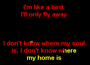 I'm like a bird,
I'll only fly away

I don't krfbw where my soul
is, I don't know where
my home is