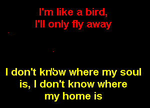 I'm like a bird,
I'll only fly away

I don't kn'bw where my soul
is, I don't know where
my home is