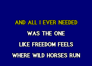 AND ALL I EVER NEEDED
WAS THE ONE
LIKE FREEDOM FEELS

WHERE WILD HORSES RUN l