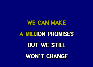 WE CAN MAKE

A MILLION PROMISES
BUT WE STILL
WON'T CHANGE