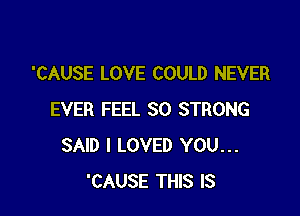 'CAUSE LOVE COULD NEVER

EVER FEEL SO STRONG
SAID I LOVED YOU...
'CAUSE THIS IS