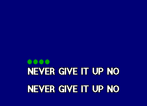 NEVER GIVE IT UP N0
NEVER GIVE IT UP N0