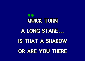 QUICK TURN

A LONG STARE...
IS THAT A SHADOW
0R ARE YOU THERE