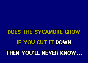 DOES THE SYCAMORE GROW
IF YOU CUT IT DOWN
THEN YOU'LL NEVER KNOW...