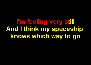 I'm feeling very still
And I think my spaceship

knows which way to go