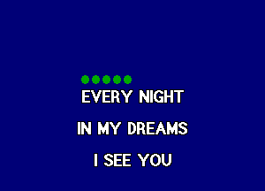EVERY NIGHT
IN MY DREAMS
I SEE YOU