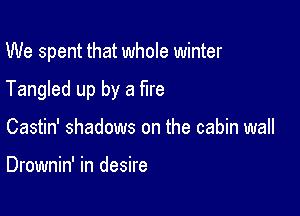 We spent that whole winter

Tangled up by a fire

Castin' shadows on the cabin wall

Drownin' in desire
