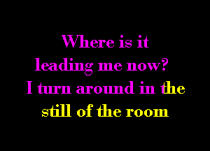 Where is it
leading me now?
I turn around in the
still of the room