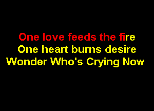 One love feeds the fire
One heart burns desire

Wonder Who's Crying Now