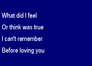 What did I feel
Or think was true

I can't remember

Before loving you