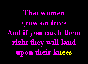 That women
grow on trees

And if you catch them
right they will land
upon their knees