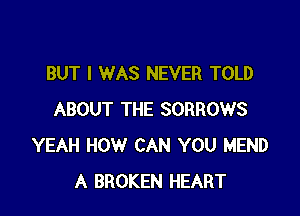 BUT I WAS NEVER TOLD

ABOUT THE SORROWS
YEAH HOW CAN YOU MEND
A BROKEN HEART