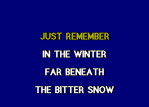 JUST REMEMBER

IN THE WINTER
FAR BENEATH
THE BITTER SNOW