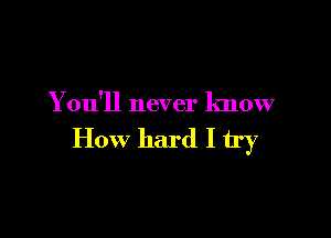 You'll never know

How hard I try