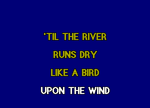 'TIL THE RIVER

RUNS DRY
LIKE A BIRD
UPON THE WIND