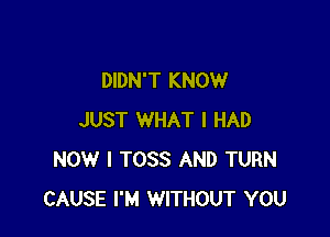 DIDN'T KNOW

JUST WHAT I HAD
NOW I TOSS AND TURN
CAUSE I'M WITHOUT YOU