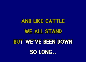 AND LIKE CATTLE

WE ALL STAND
BUT WE'VE BEEN DOWN
SO LONG...