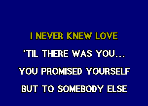 I NEVER KNEW LOVE

'TIL THERE WAS YOU...
YOU PROMISED YOURSELF
BUT T0 SOMEBODY ELSE