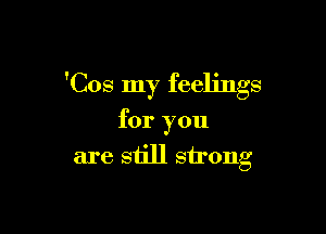 'Cos my feelings

for you
are still strong