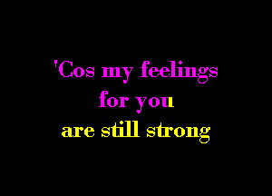 'Cos my feelings

for you
are still strong