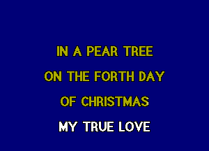 IN A PEAR TREE

ON THE FORTH DAY
OF CHRISTMAS
MY TRUE LOVE