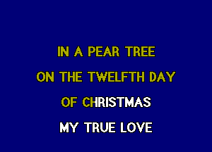 IN A PEAR TREE

ON THE TWELFTH DAY
OF CHRISTMAS
MY TRUE LOVE