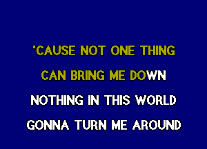 'CAUSE NOT ONE THING

CAN BRING ME DOWN
NOTHING IN THIS WORLD
GONNA TURN ME AROUND